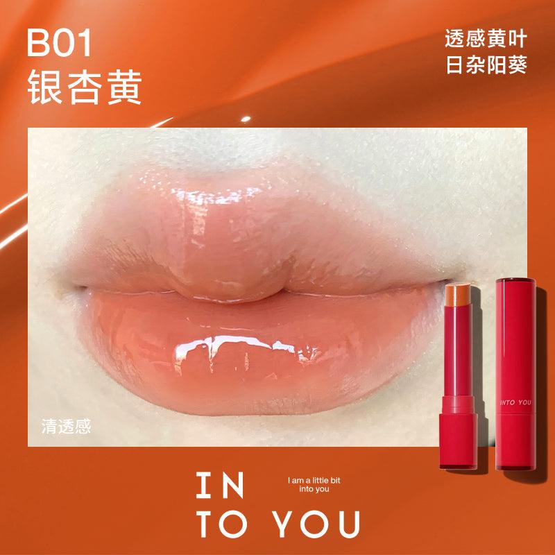 INTO YOU Brilliant Lipstick IY043 - Chic Decent