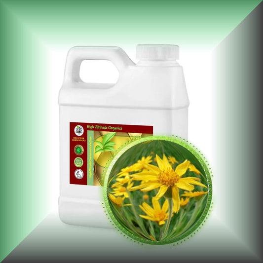 Arnica Montana Oil Extract