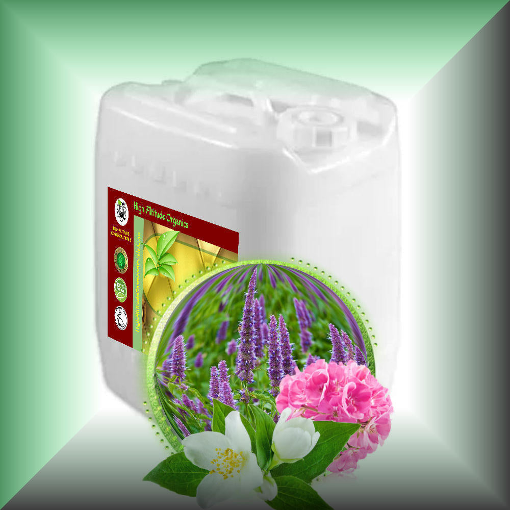 Body Massage Oil *EXOTIC PATCHOULI* bulk
