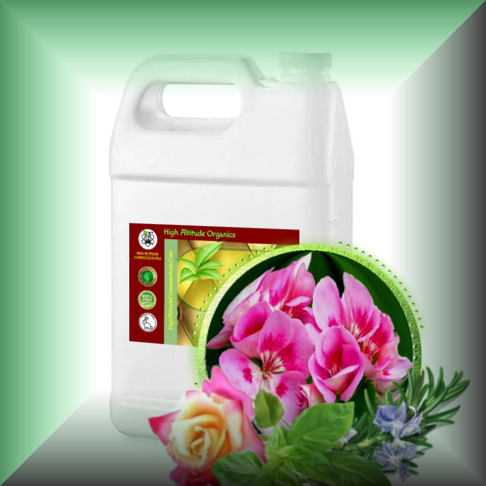 Body Massage Oil *GERANIUM POTLUCK*