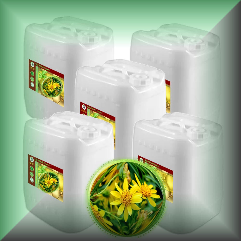 Arnica oil - 25 gallons bulk wholesale size