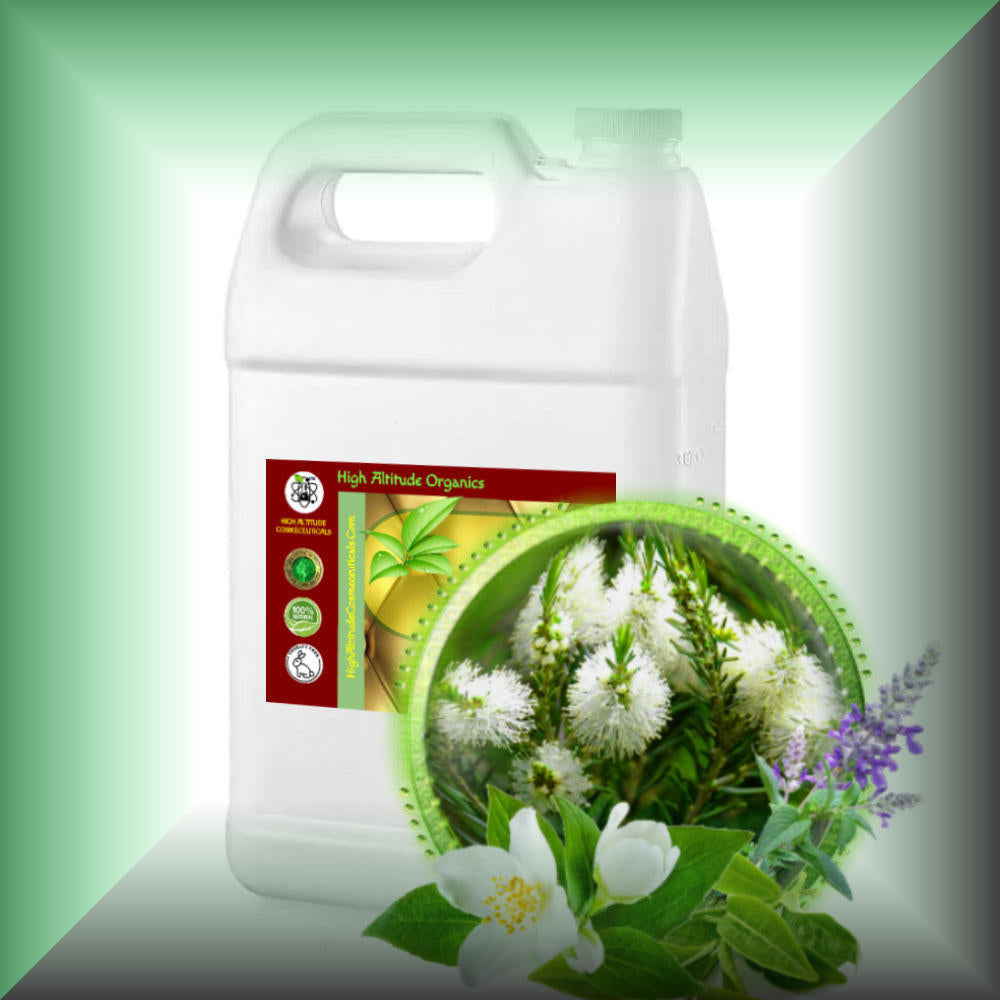 Body Massage Oil *TEA TREE TEMPTATIONS* bulk