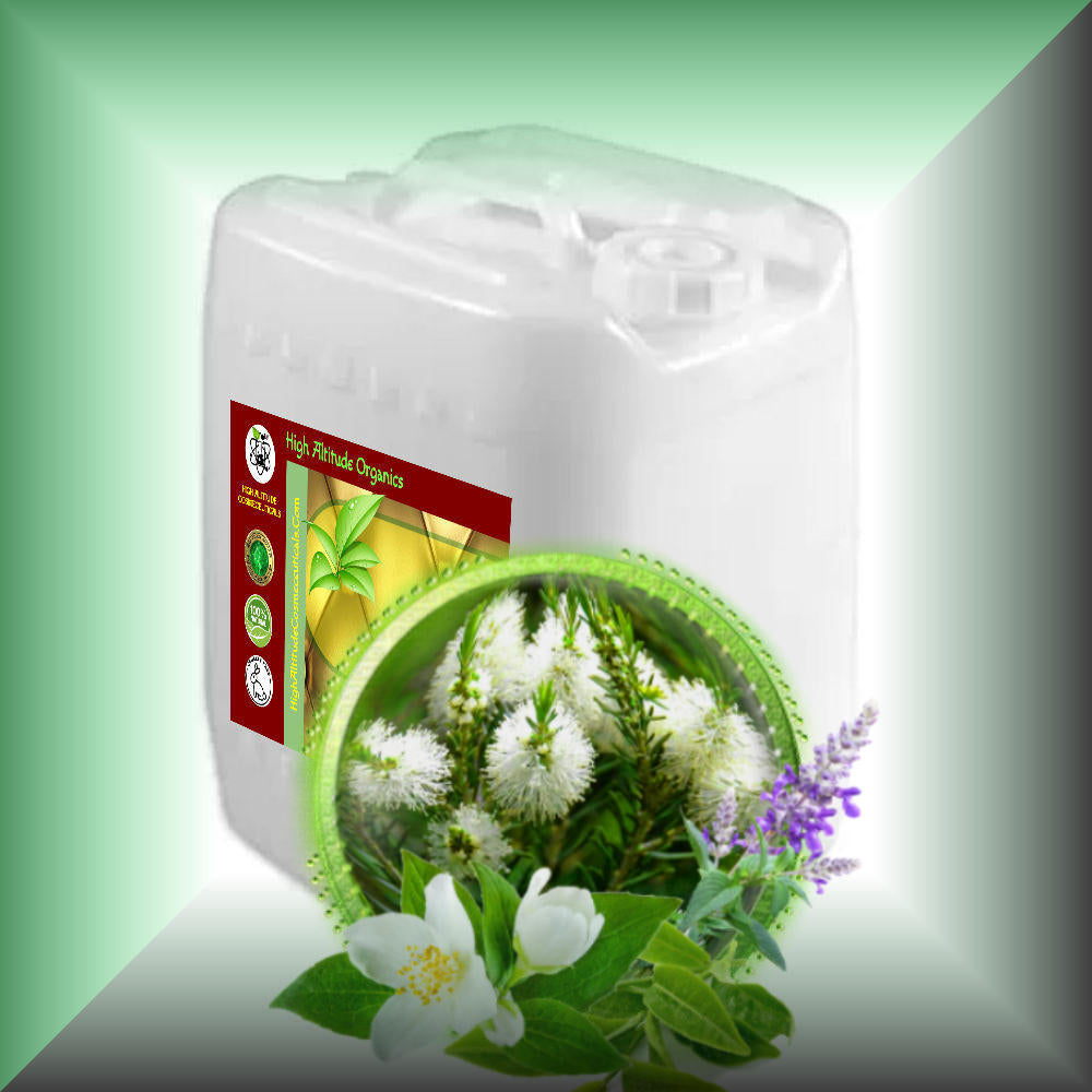 Body Massage Oil *TEA TREE TEMPTATIONS* bulk size