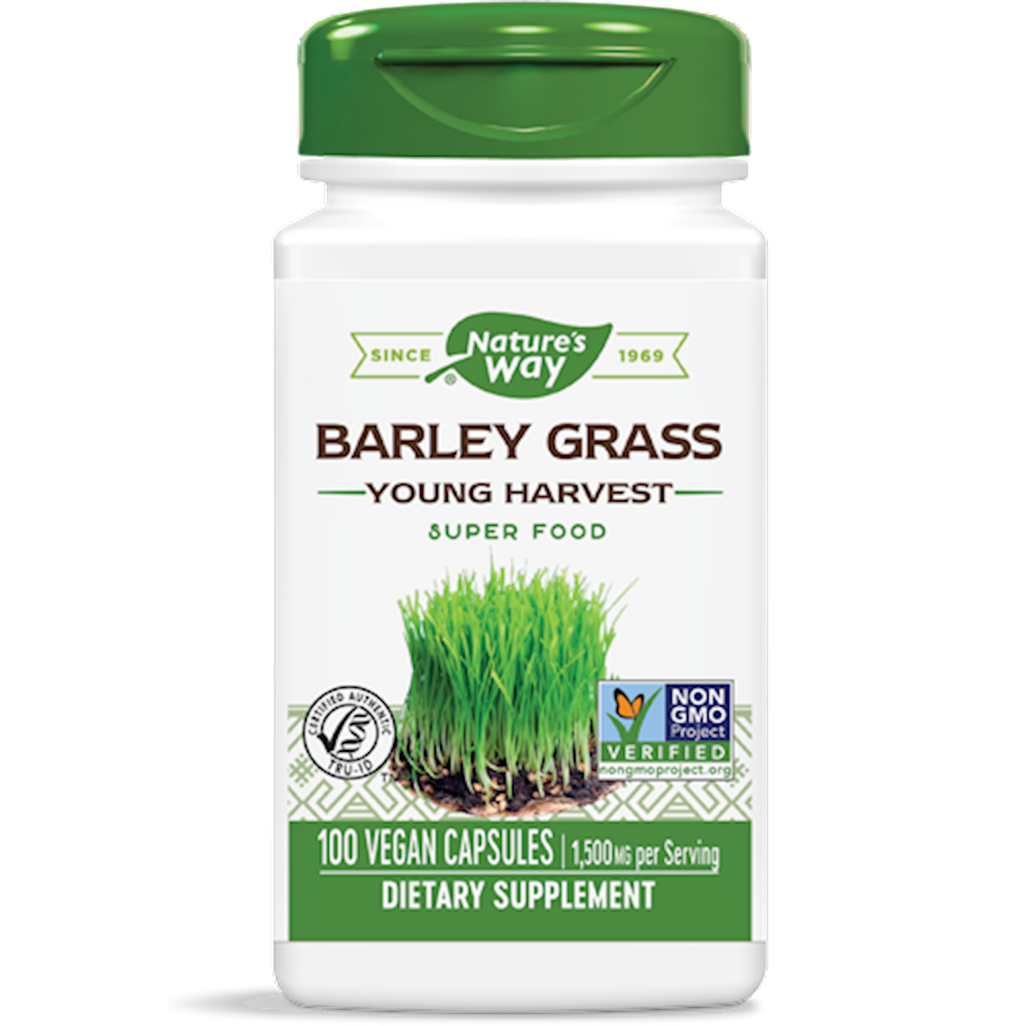 Barley Grass