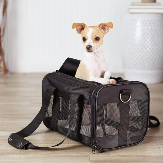 Soft-Sided Mesh Pet Travel Carrier